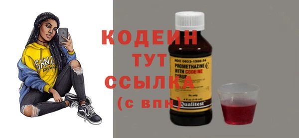 дмт Абаза