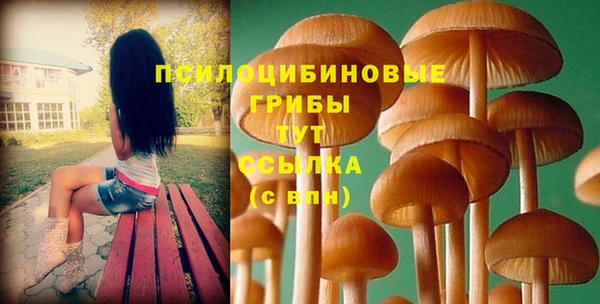 spice Абдулино