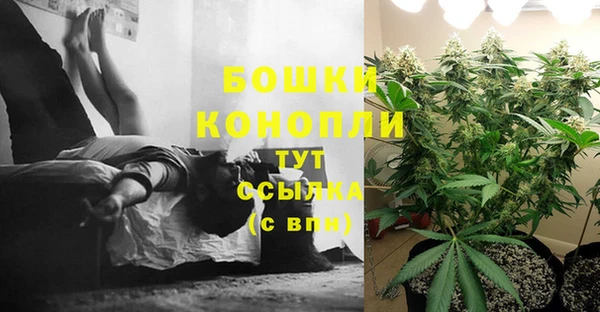 дмт Абаза