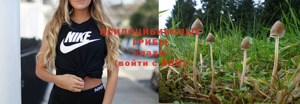 дмт Абаза